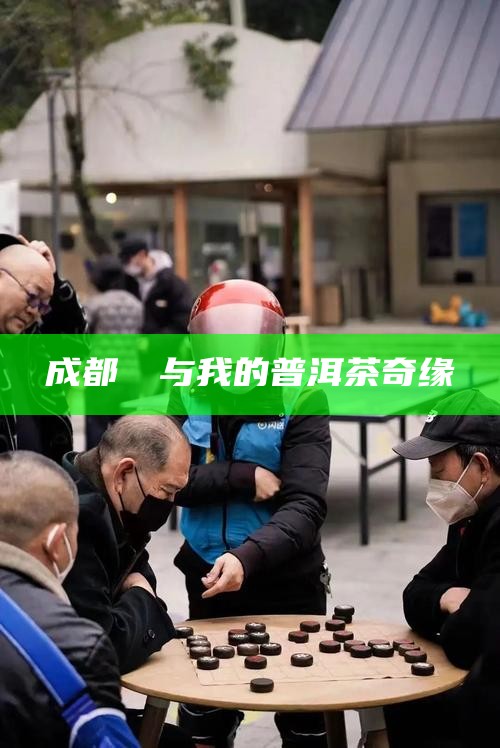 成都嬢嬢与我的普洱茶奇缘