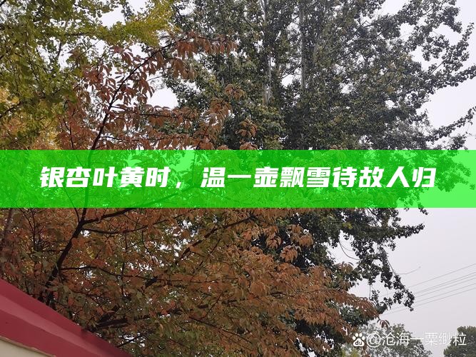 银杏叶黄时，温一壶飘雪待故人归